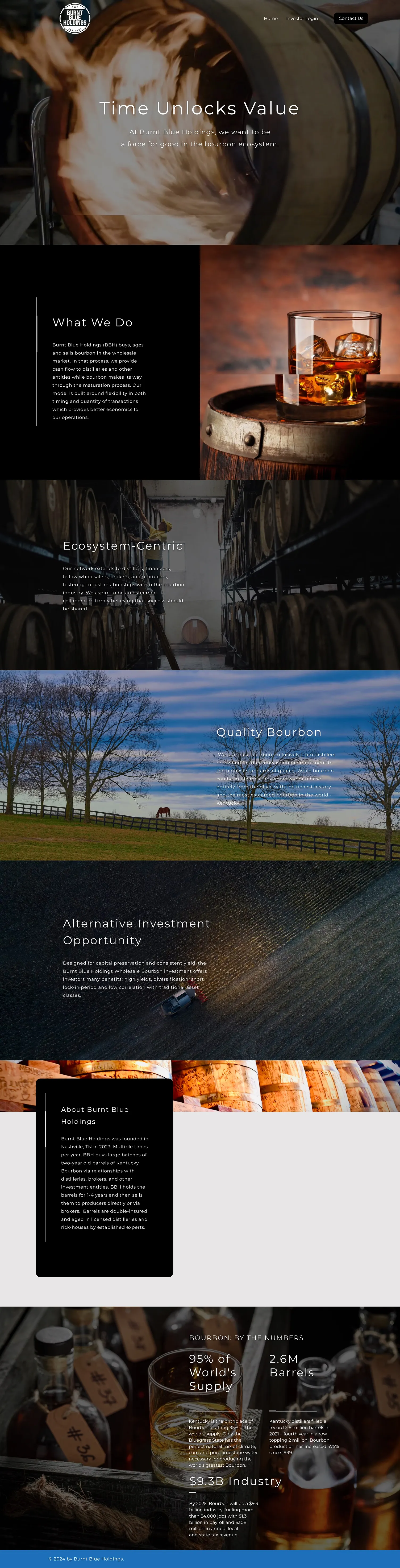 Burnt Blue Holdings Complete Website Design